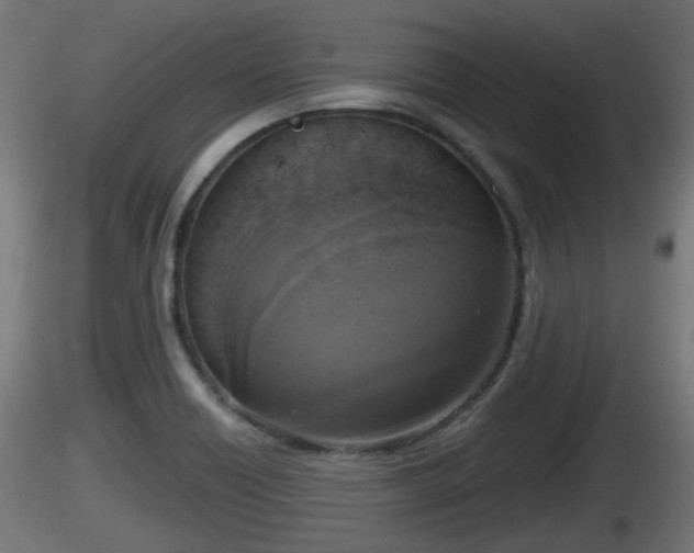 X0000116831418200912241217