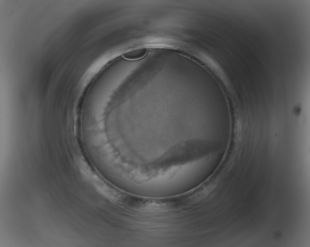 X0000116831419200912241217