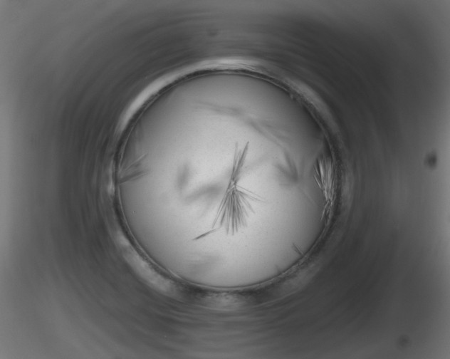 X0000116831420200912241217