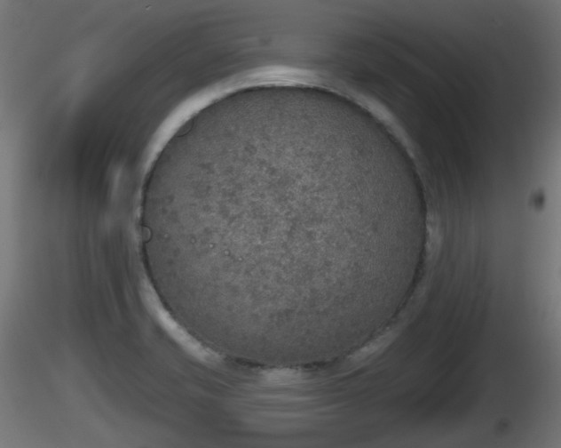 X0000116831421200912241217