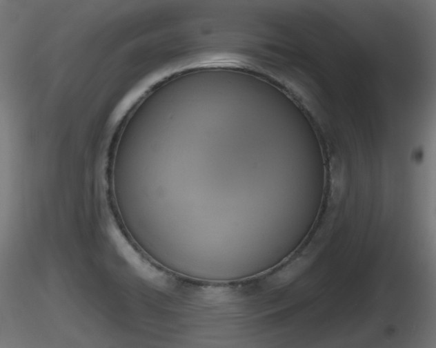 X0000116831422200912241217