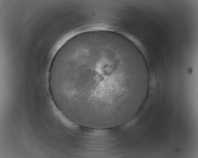 X0000116831423200912241217