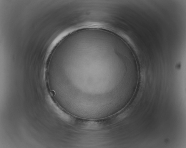X0000116831424200912241217