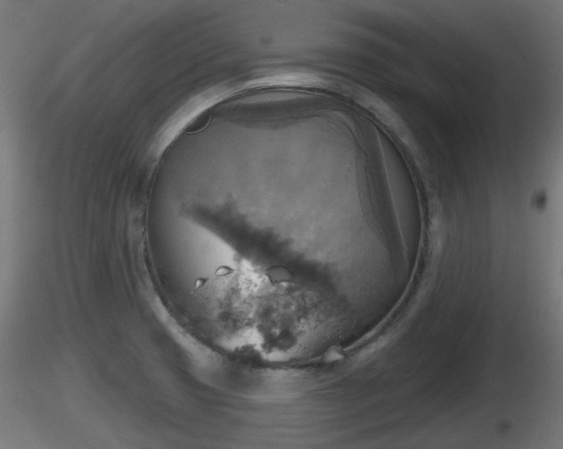 X0000116831425200912241217