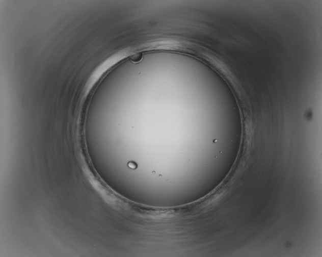 X0000116831426200912241217