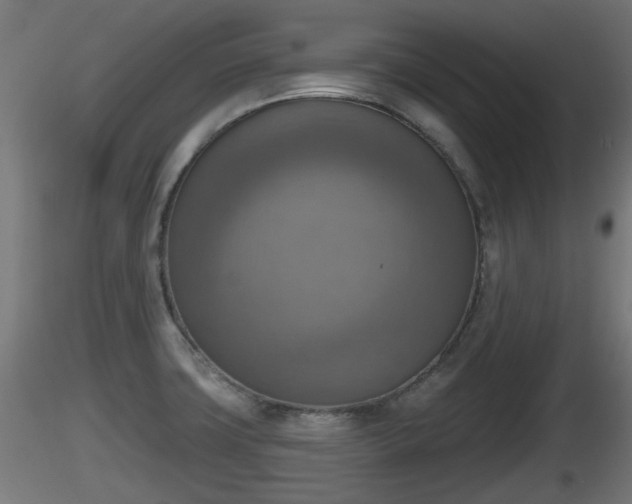 X0000116831427200912241217
