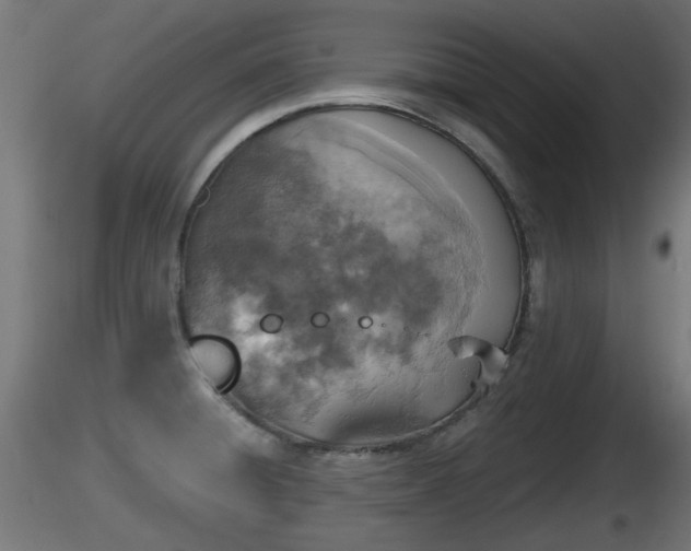 X0000116831428200912241217