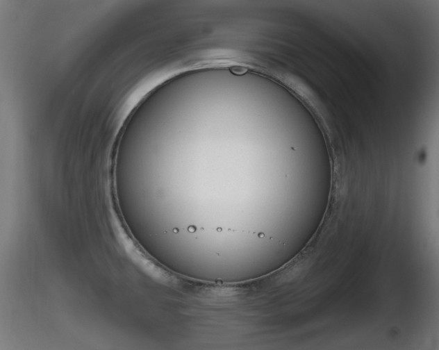X0000116831431200912241217