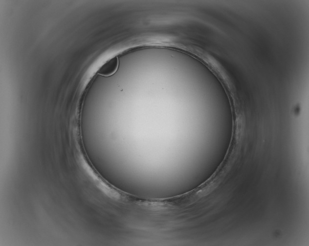 X0000116831432200912241217