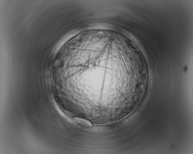 X0000116831433200912241217