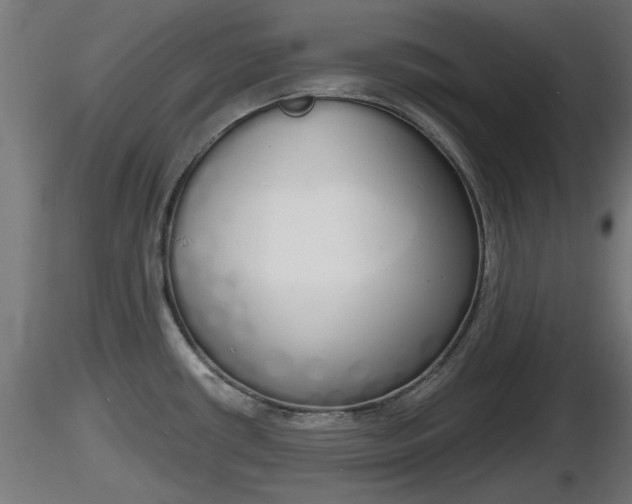 X0000116831434200912241217