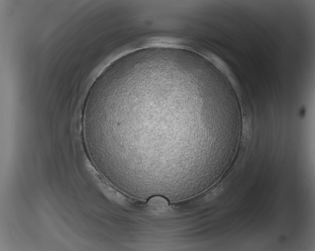 X0000116831435200912241217