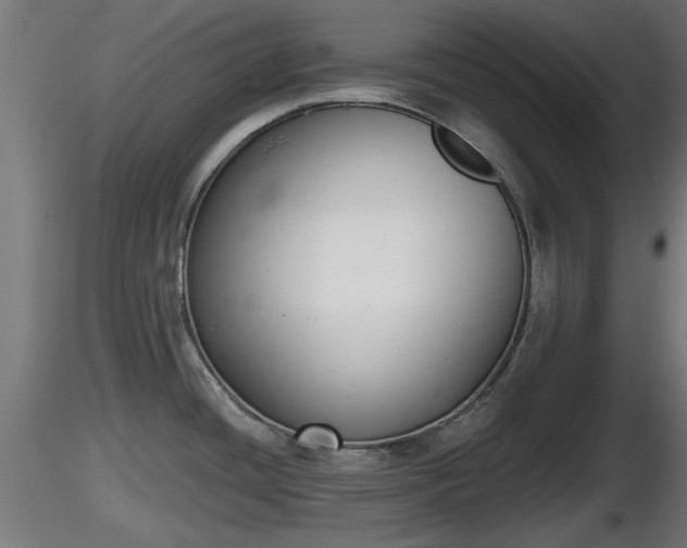 X0000116831436200912241217