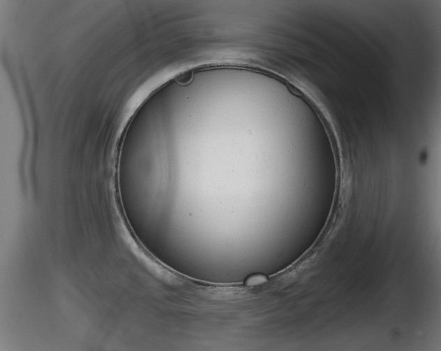 X0000116831437200912241217