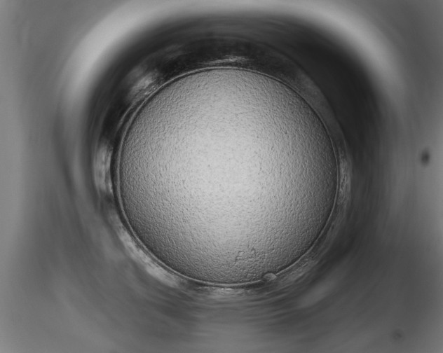 X0000116831439200912241217