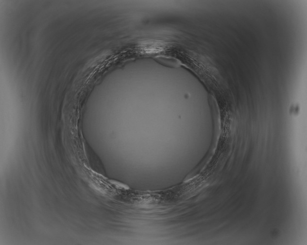 X0000116831441200912241217