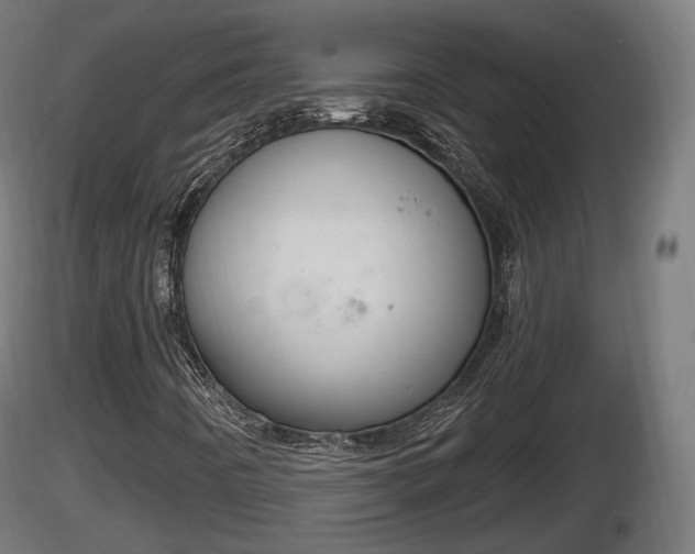 X0000116831442200912241217