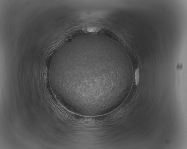 X0000116831443200912241217