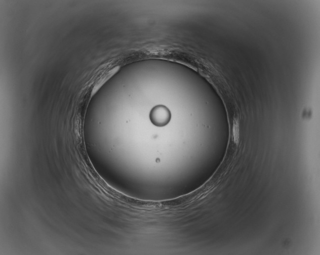 X0000116831444200912241217