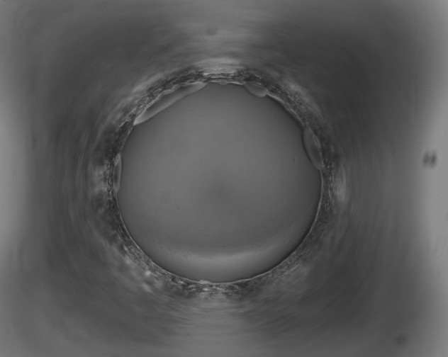X0000116831445200912241217