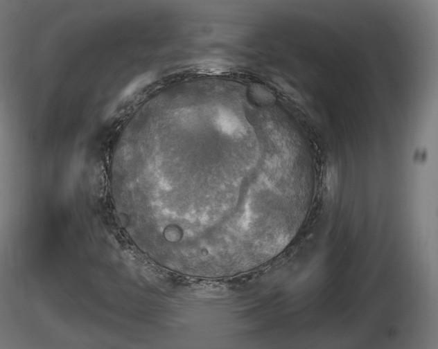 X0000116831446200912241217