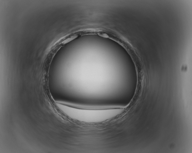 X0000116831448200912241217