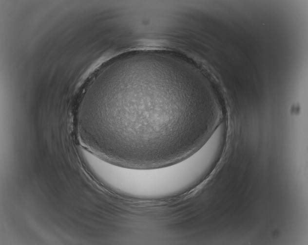 X0000116831449200912241217