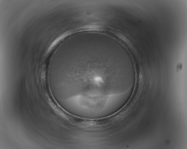 X0000116831450200912241217