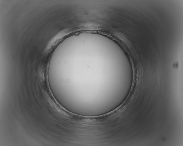 X0000116831451200912241217