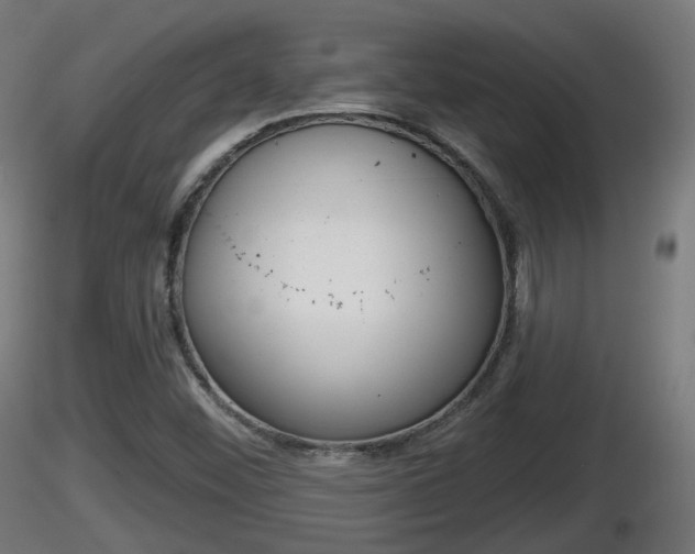 X0000116831452200912241216