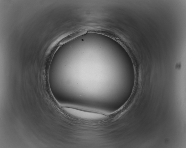 X0000116831453200912241216