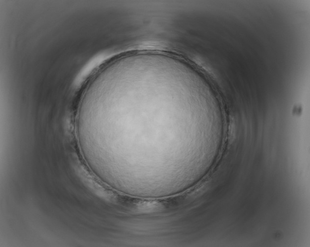 X0000116831454200912241216