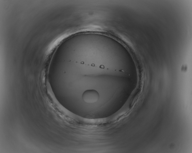 X0000116831455200912241216