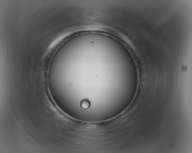 X0000116831456200912241216
