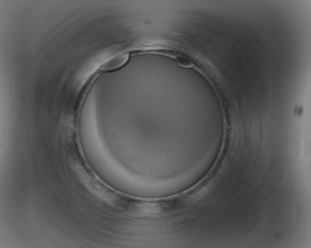 X0000116831457200912241216
