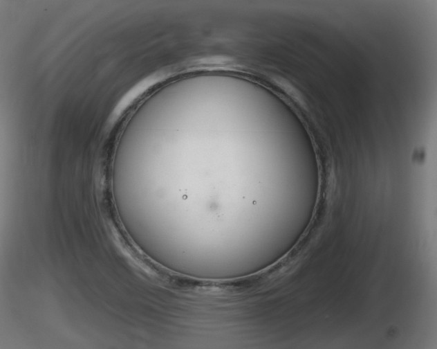 X0000116831458200912241216