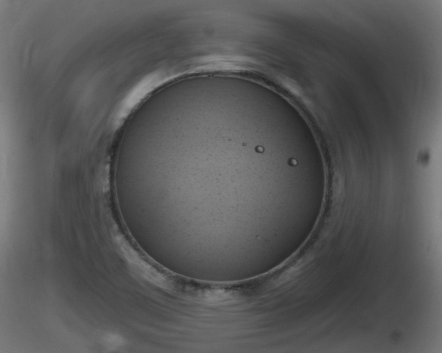 X0000116831459200912241216