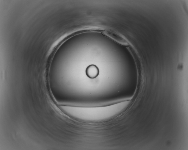 X0000116831460200912241216