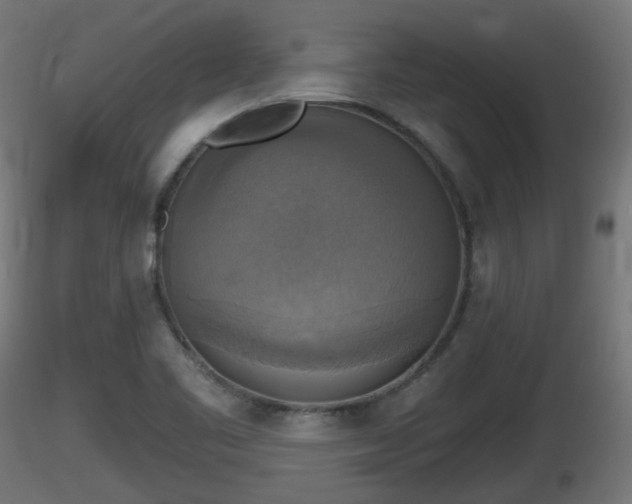 X0000116831461200912241216