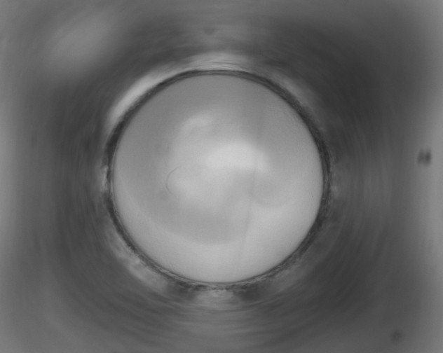 X0000116831462200912241216