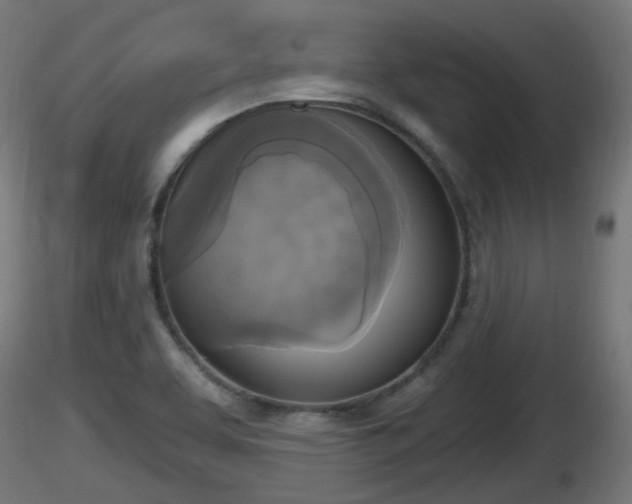 X0000116831463200912241216
