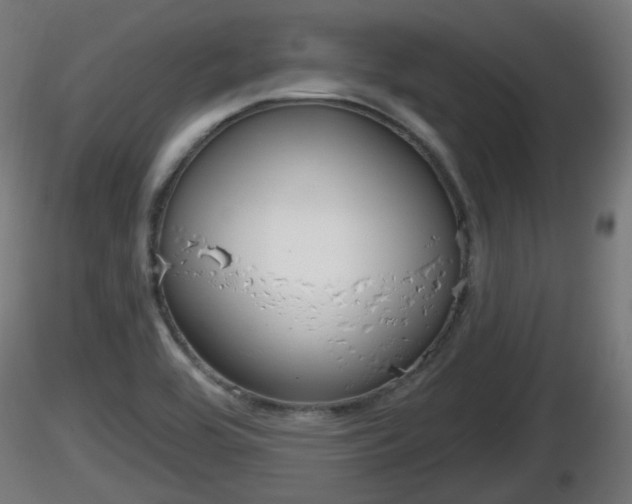 X0000116831464200912241216