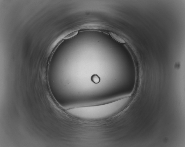 X0000116831465200912241216