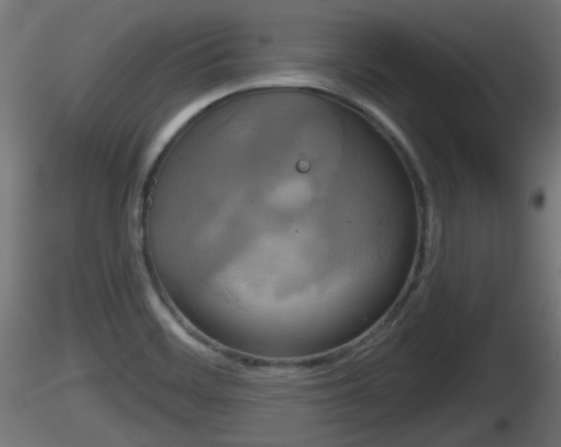 X0000116831468200912241216
