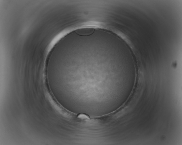 X0000116831469200912241216
