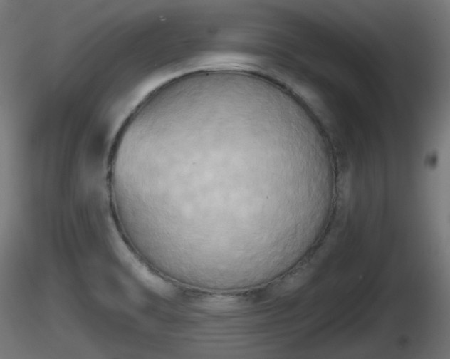 X0000116831470200912241216