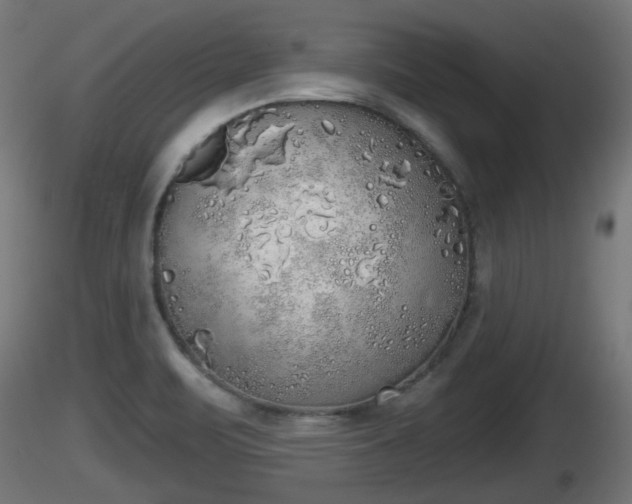 X0000116831471200912241216