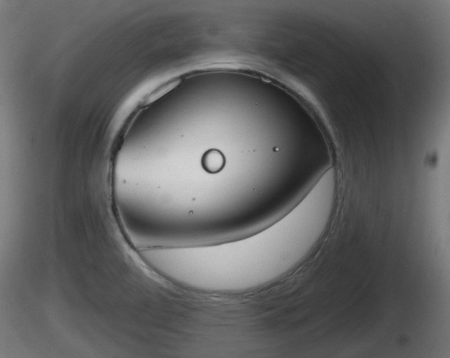X0000116831472200912241216