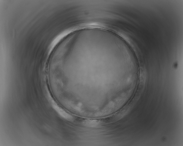 X0000116831474200912241216