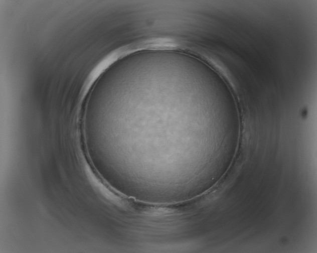 X0000116831475200912241216